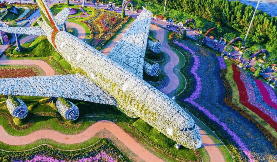 Combo: Miracle Garden + Butterfly Garden - Image 11